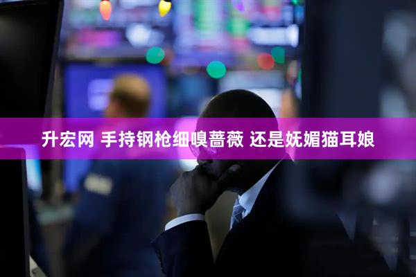 升宏网 手持钢枪细嗅蔷薇 还是妩媚猫耳娘
