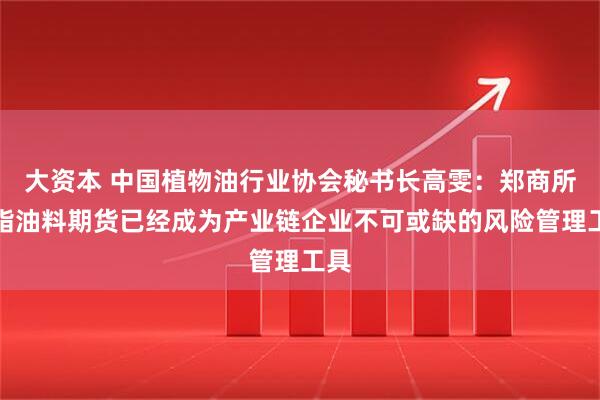 大资本 中国植物油行业协会秘书长高雯：郑商所油脂油料期货已经成为产业链企业不可或缺的风险管理工具