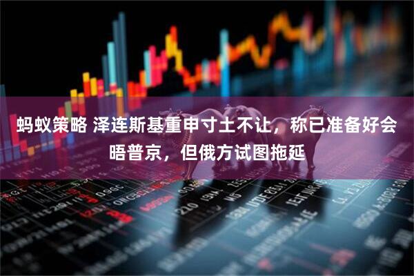 蚂蚁策略 泽连斯基重申寸土不让，称已准备好会晤普京，但俄方试图拖延