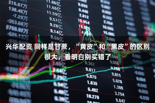 兴华配资 同样是甘蔗，“黄皮”和“黑皮”的区别很大，看明白别买错了