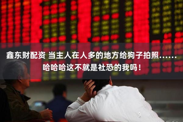 鑫东财配资 当主人在人多的地方给狗子拍照……哈哈哈这不就是社恐的我吗！